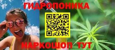 таблы Ставрополь